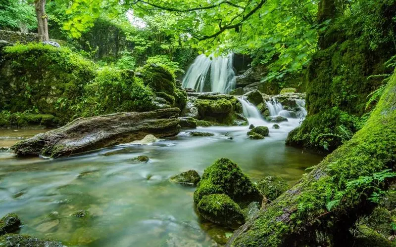 绿色高标准